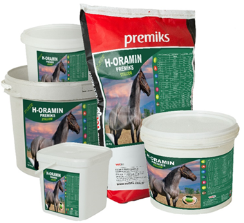 SILVER H-ORAMIN STALLION DAMIZLIK PREMİKS