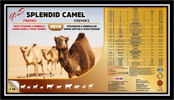 GOLD SPLENDID CAMEL PREMIX