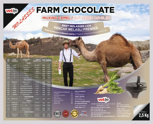 FARM CHOCOLATTE CAMEL MILK