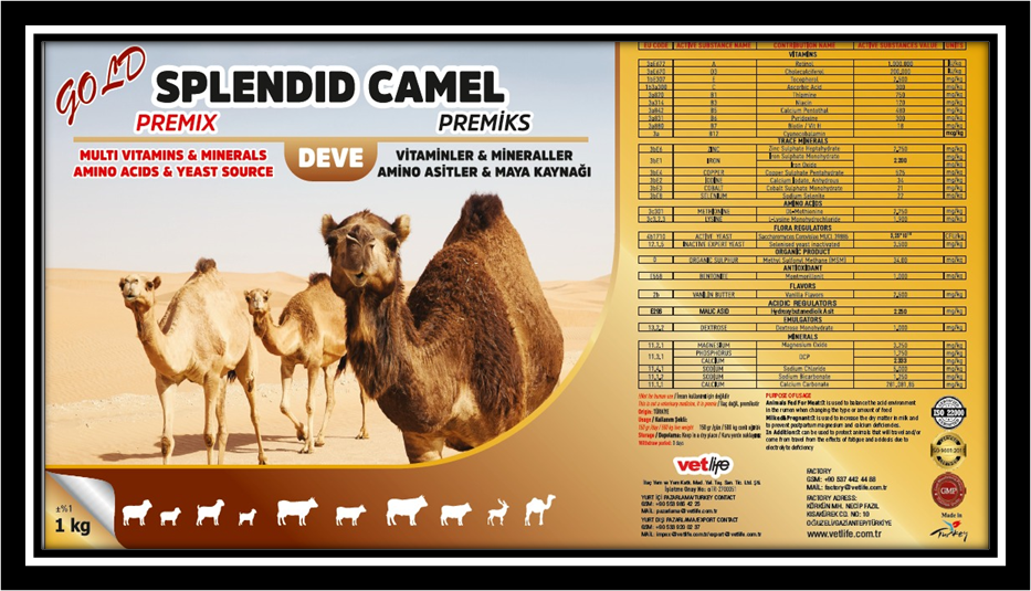 GOLD SPLENDID CAMEL PREMİKS