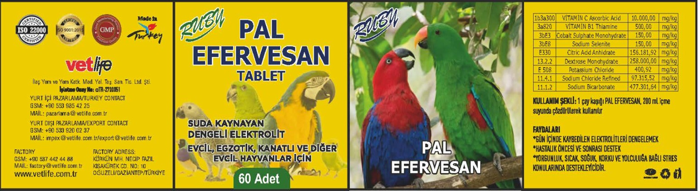 RUBY PAL EFERVESAN TABLET