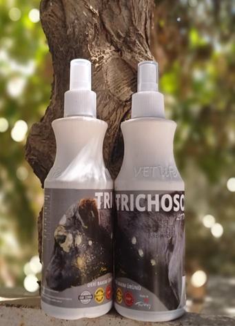 RUBY TRICHOSOL LOTION