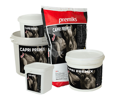 GRAND CAPRİ PREMİKS