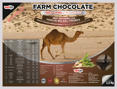 FARM CHOCOLATE CAMEL BESİ