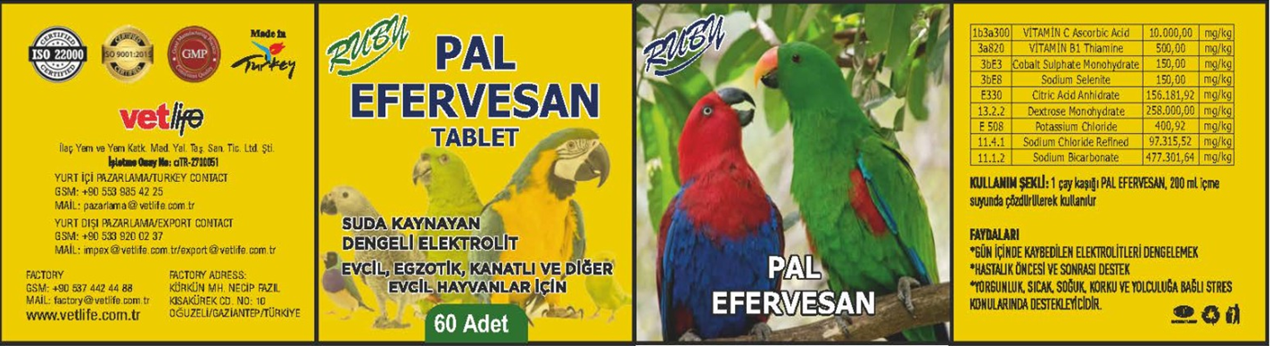 PAL EFERVESAN TABLET