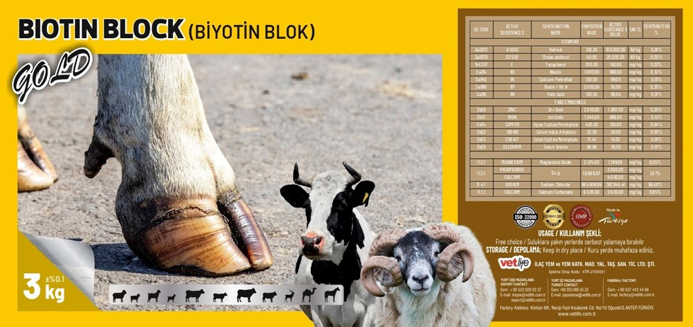 GOLD BİYOTİN BLOK